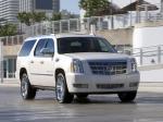 Cadillac Escalade ESV Platinum Edition 2008 года